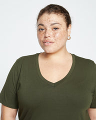 V Rex - Evening Forest